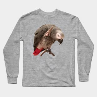 African Grey Parrot Funny Wave Long Sleeve T-Shirt